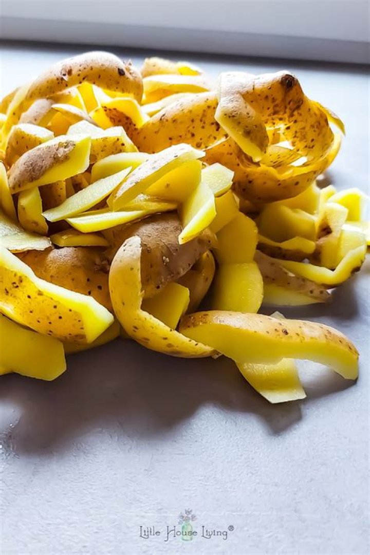 Can a rabbit eat potato peelings?