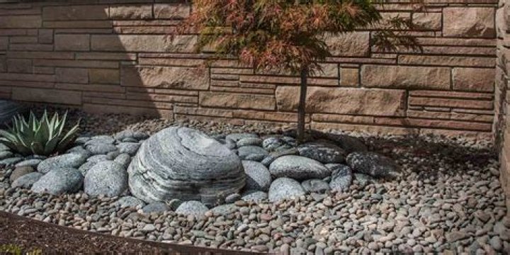 Can grass grow over rocks?