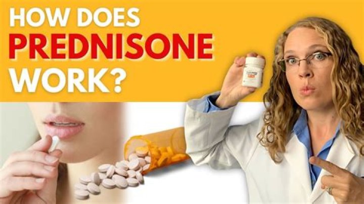 Can prednisone be used for colds?