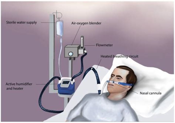 Can you use a nasal cannula in your mouth?