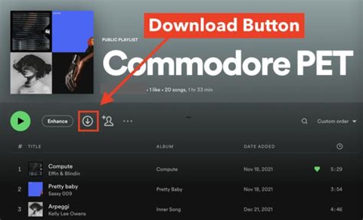 How do I download a Bluprint video?