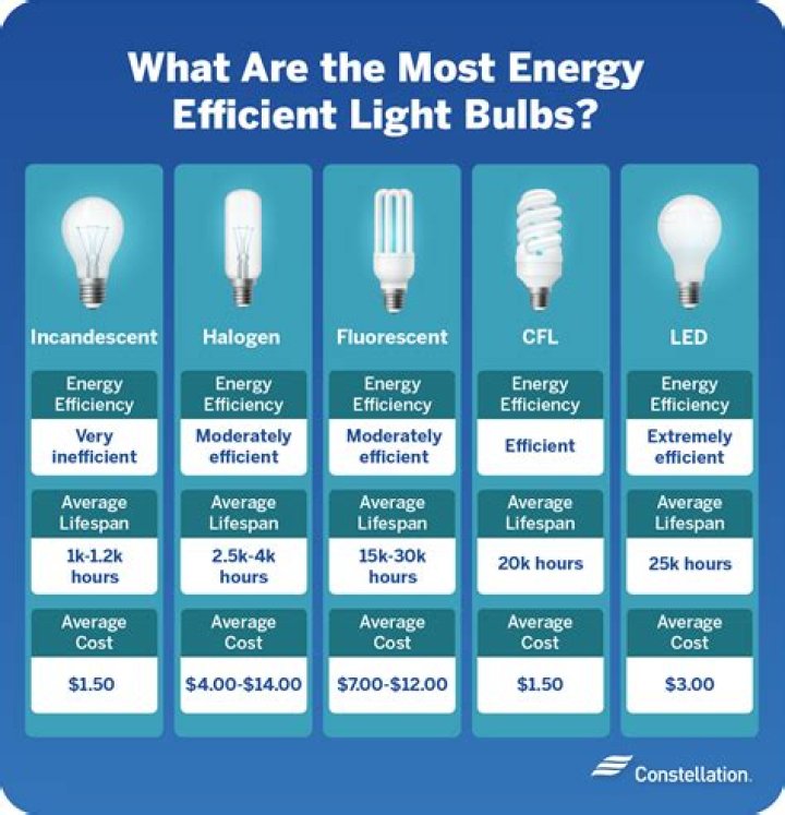 How do you dispose of energy efficient light bulbs?