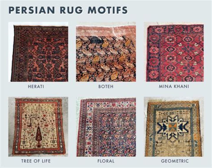 How do you get dog urine out of a Persian rug?