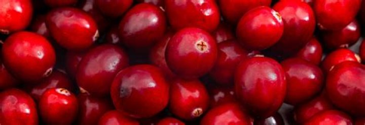 How long will a cranberry garland last?