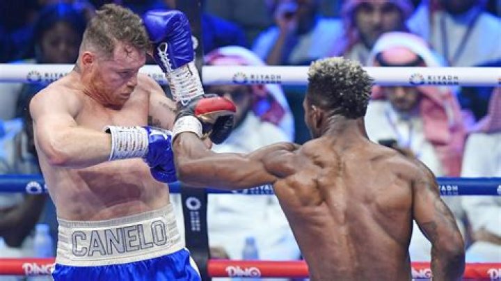 How much Canelo made vs Mayweather?