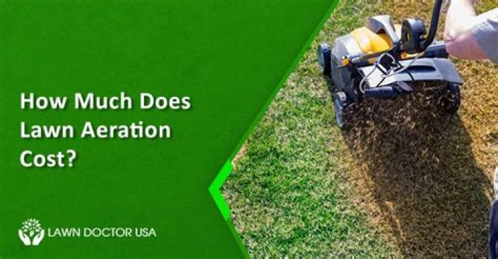How much does it cost to have turf installed?