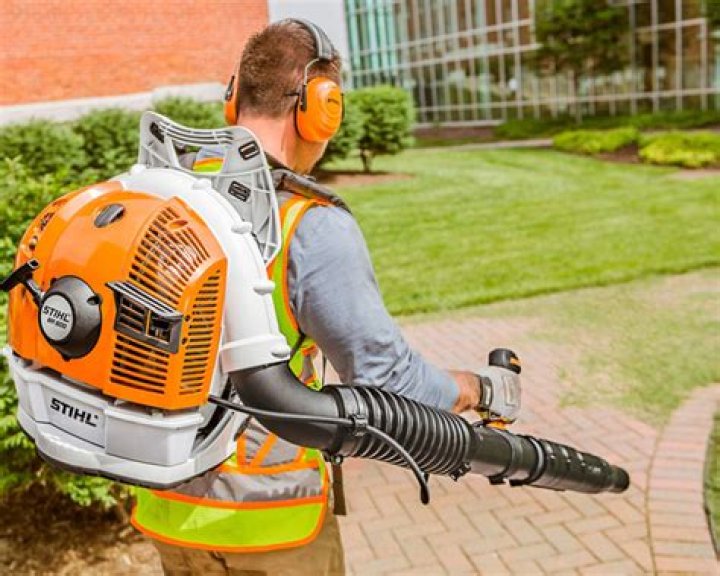How much is a Stihl br600 backpack blower?