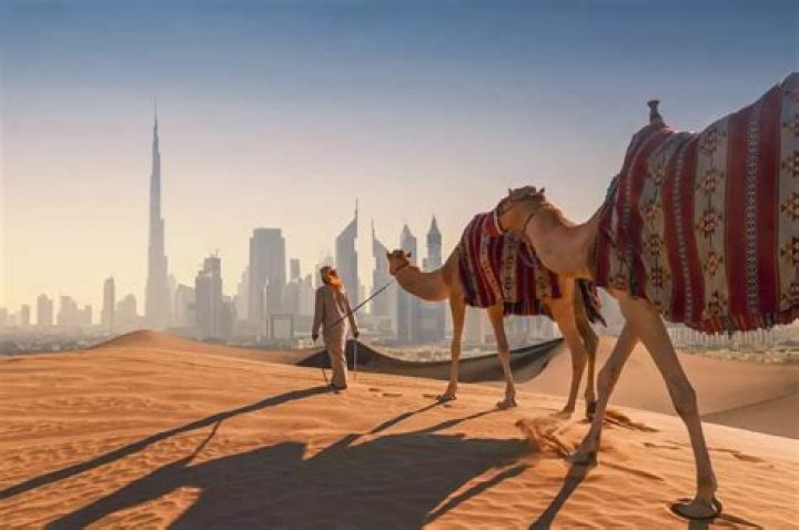 Is French spoken in Dubai?