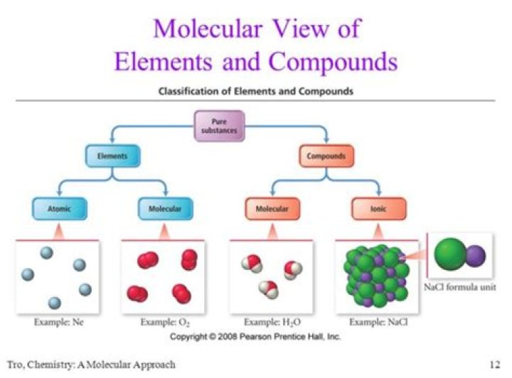 Is it possible for an element to have different types of atoms?