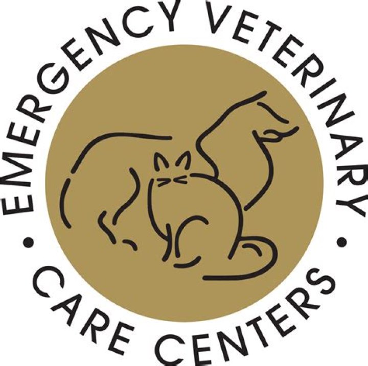 Is kennel cough an emergency?