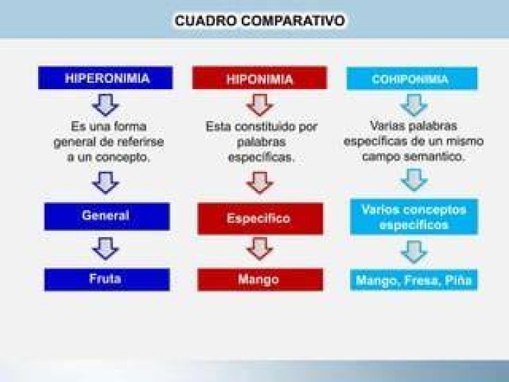¿Qué es la Hiperonimia y ejemplos?