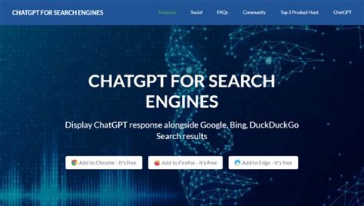 What are my choices for search engines?