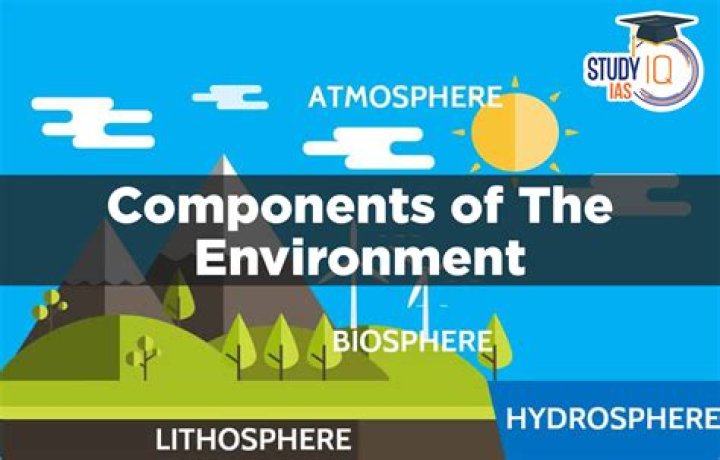 What are the components of research?