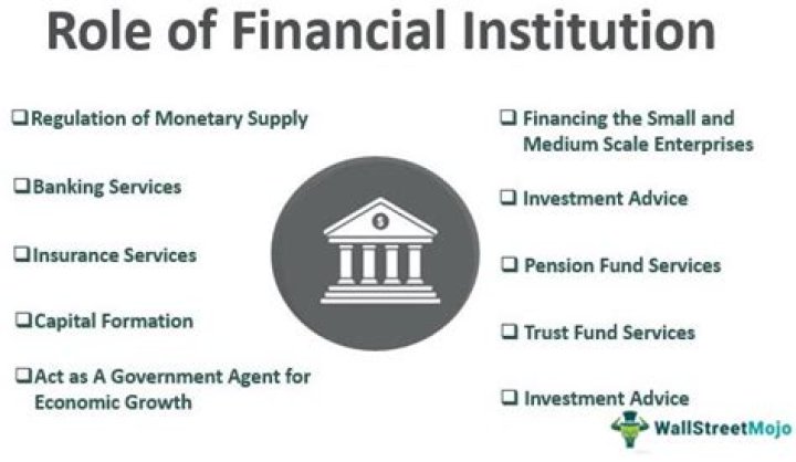 What do financial institutions do with the money deposited with them?