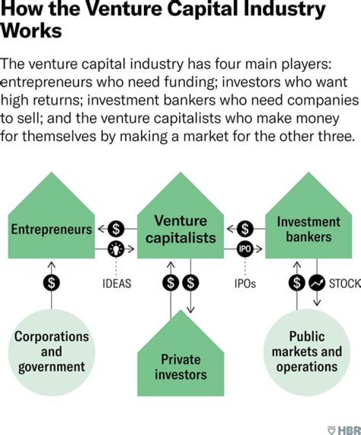 What do venture capitalists get in return?