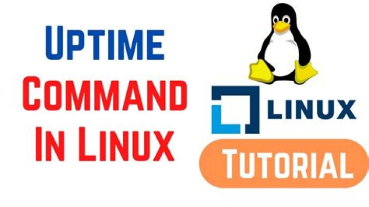 What does uptime mean in Linux?