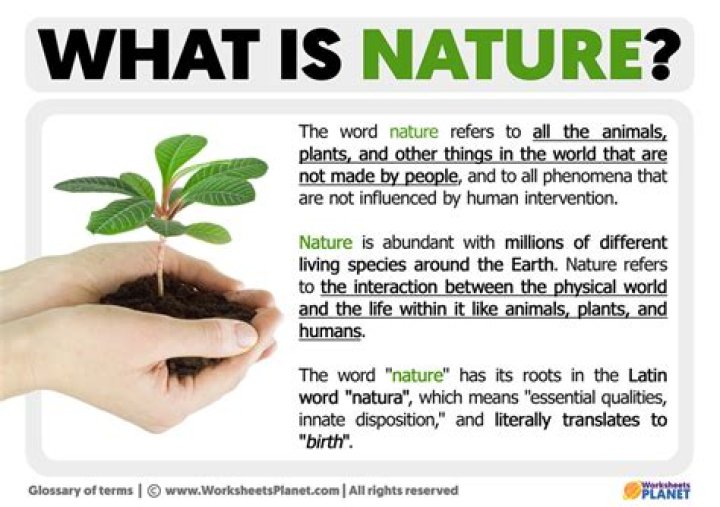 What is nature technology?