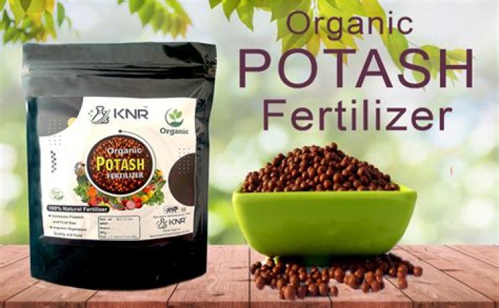 What is organic potash? | ContextResponse.com