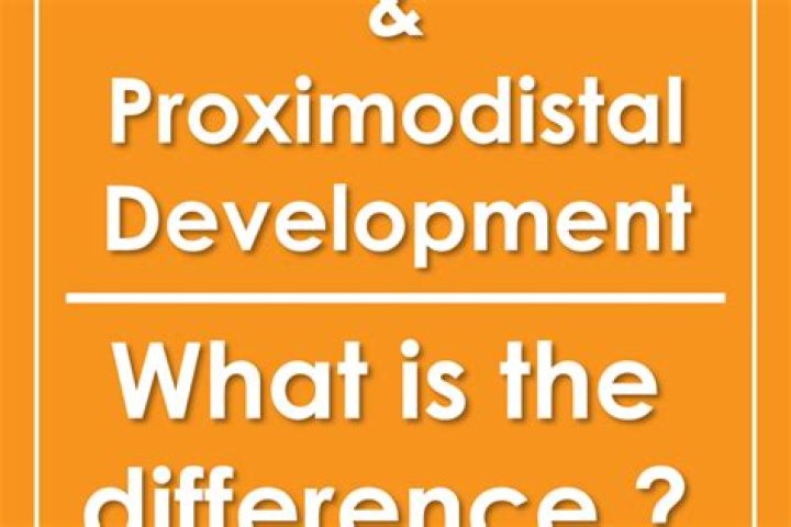 What is Proximodistal law? | ContextResponse.com