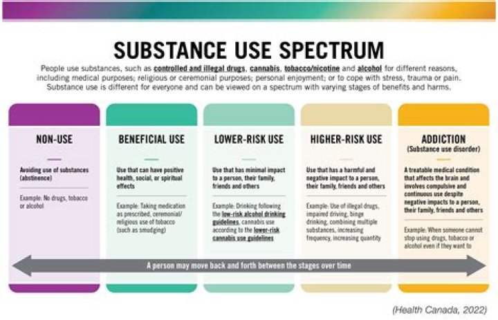 What is related substance in HPLC?