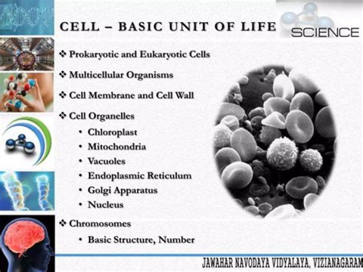 What is the basic unit of charge?