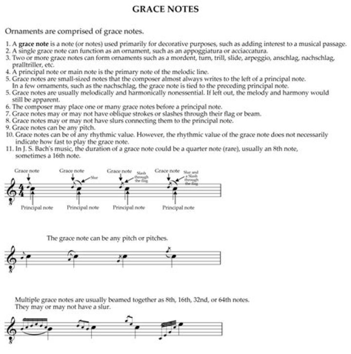 What is the Gracenote media database?