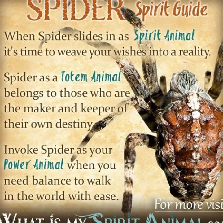 What is the spiritual significance of spiders?