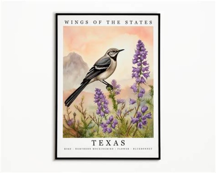 What is the state bird and flower of Alaska?