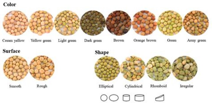 What kind of peas do you shell?