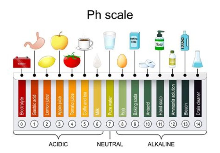 What pH level is a lemon?