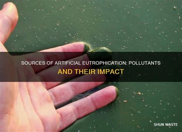 What pollutants causes artificial eutrophication?