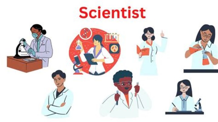 What skills does a scientist use?