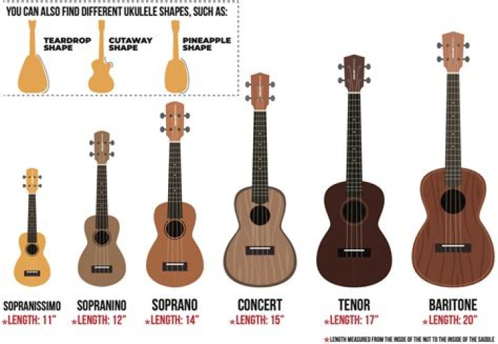 What was the first ukulele made from?