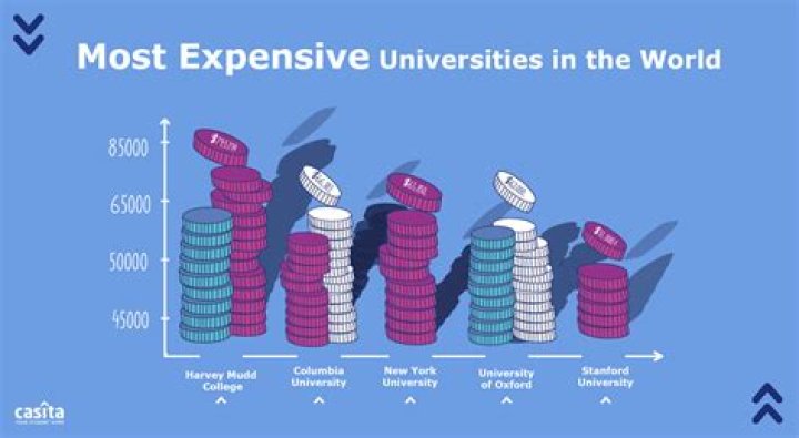 Which is the second largest open university in the world?